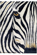 Килим Zebra 170 X 240